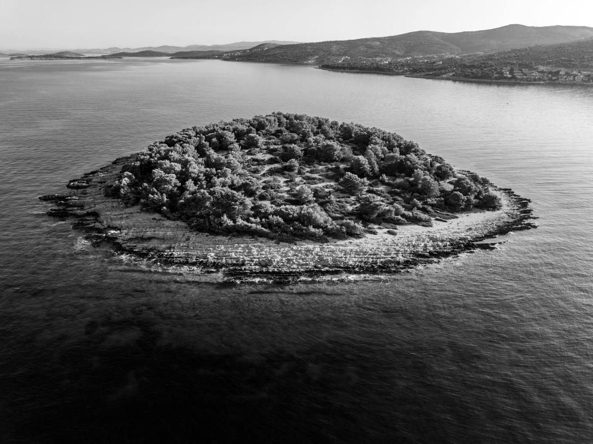 Womanhood Diaries, Vol. 8: Woman on an&nbsp;Island
